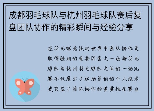 成都羽毛球队与杭州羽毛球队赛后复盘团队协作的精彩瞬间与经验分享